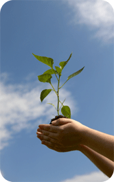 advisory_marketing-and-sales