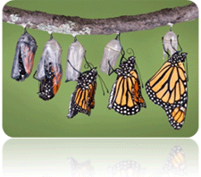 bu_business-transformation